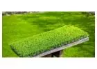 Synthetic Grass Supplier in Melbourne