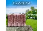 Cow Dung Deepam  