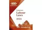Buy - Jhabvala Labour Laws FYBSL And FYLLB Sem 1 Jamnadas Book