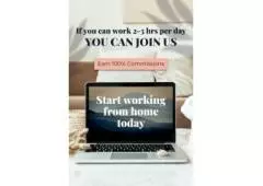 You need something that works, right? Finally, a system to help you earn up to $1,000 a week from ho