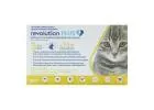 Revolution Plus for Cats | SingaporePetCare