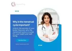 Why is the menstrual cycle important?