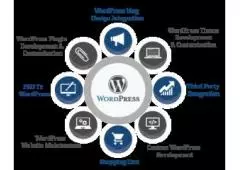 Website Development Company India - Custom Wordpress Development India