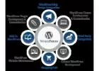 Website Development Company India - Custom Wordpress Development India