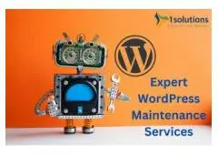 Hassle-Free WordPress Maintenance: Let Us Handle the Technicalities