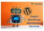 Hassle-Free WordPress Maintenance: Let Us Handle the Technicalities