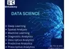 Mastering Data Science: From Data Acquisition to Predictive Insights