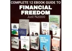 12 Ebook Bundle Guide To Buisness And Financial Success