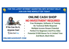 What Would You Do With An Extra $1000 From The Online Cash Shop?