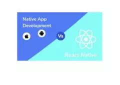 Choosing Between React Native and Native: A Guide for Mobile App Development
