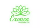 Stunning Transparent Balloons from Exotica - The Gifting Tree