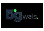 Professional 3D Animation Services | Bigwals