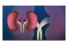 Renal Function Testing: Unveiling the Significance of RFT Tests