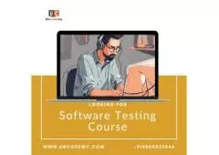 Advanced Techniques for Software Testing Mastery
