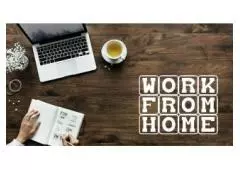 Thrive with Work-from-Home Opportunities