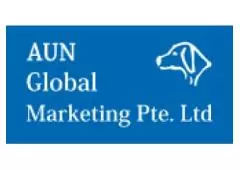 Aun Singapore: Your Trusted SEO Company and Expert