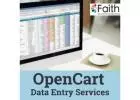 Avail Complete OpenCart Data Entry Services for Smooth Functioning