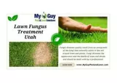 Say Goodbye to Lawn Fungus in Utah with My Guy Pest and Lawn