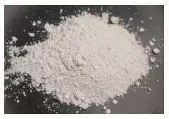 Discovering the Diverse Functions of Diatomaceous Earth
