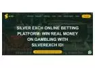Unleash Your Winning Potential with SilverExch app