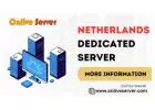 Netherlands Dedicated Server Hosting: Onlive Server's Optimal Solutions