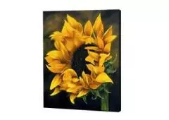 Affordable Blumen Diamond Painting Kits for Every Budget!