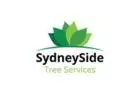 Need Professional & Local Tree Trimmers in Sydney? Call SydneySide Tree Services!