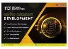 Crypto Solution Development