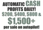 Daily Cash Flow Automatically