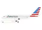 How Can I Change Name on American Airlines After checked in?