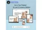 Digital Shelby - Best Digital Marketing Company India